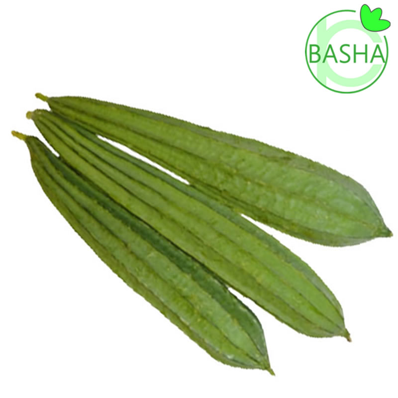 Yetuk mushuk Abby Anjelika fotosurati